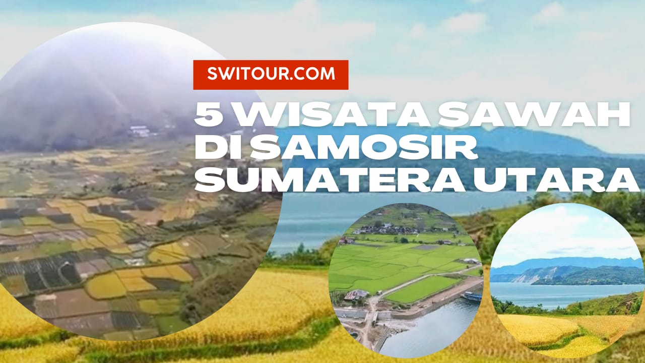 sawah di samosir