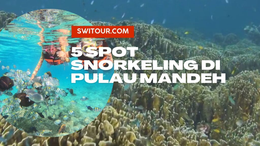 snorkeling di pulau mandeh