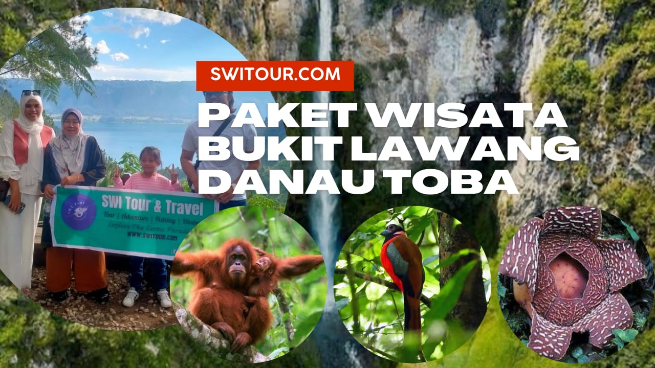 paket tour bukit lawang