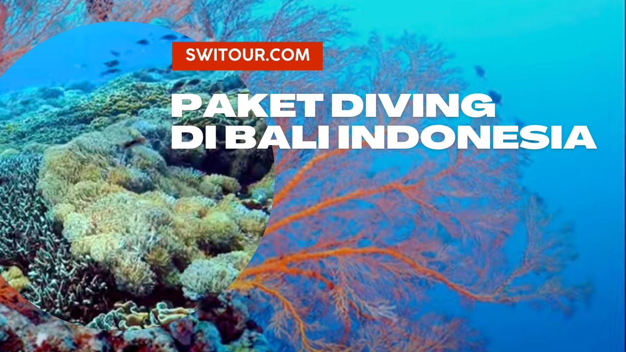 Paket Diving Bali