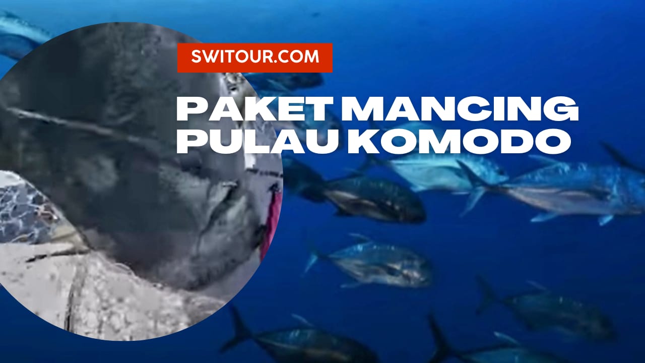 Paket Mancing Komodo