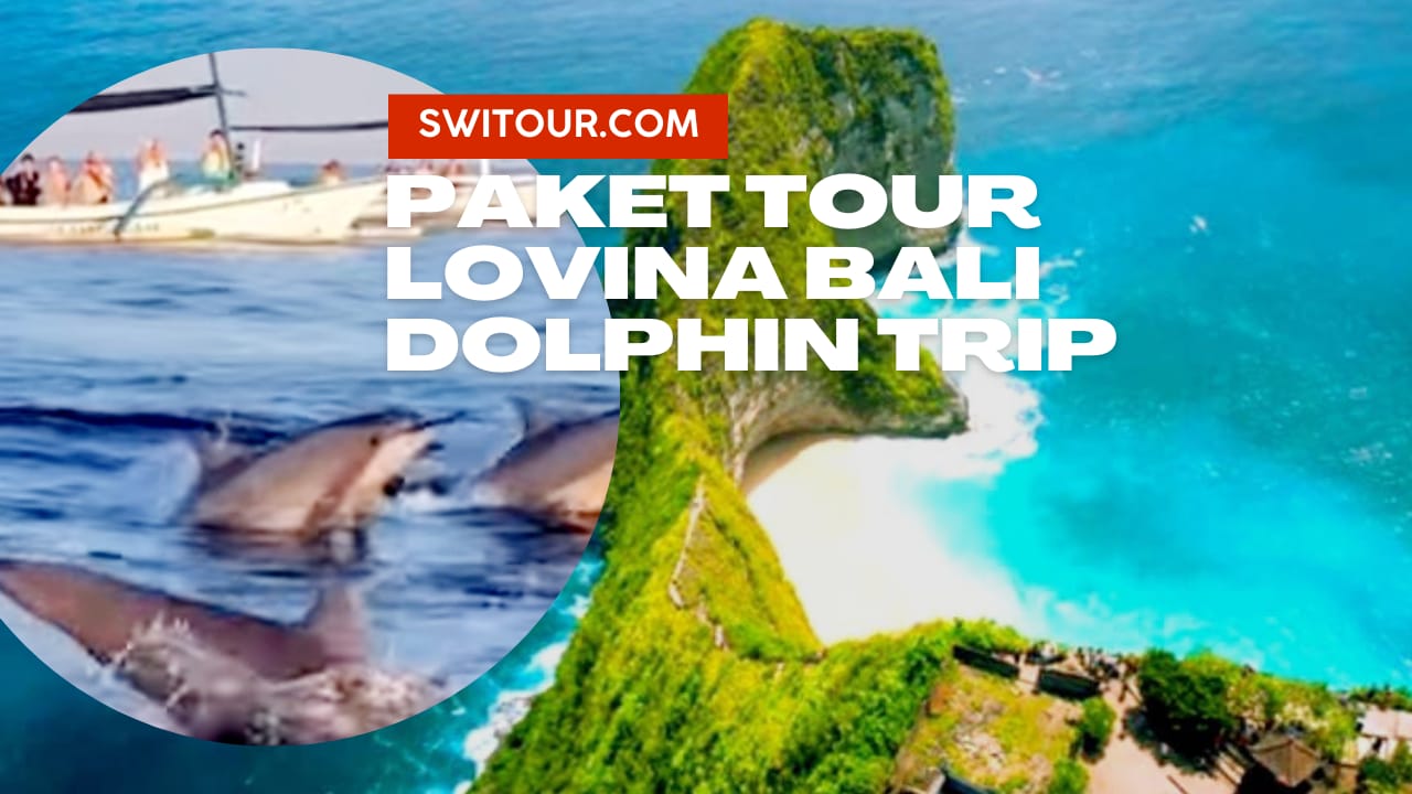 Paket Tour Lovina