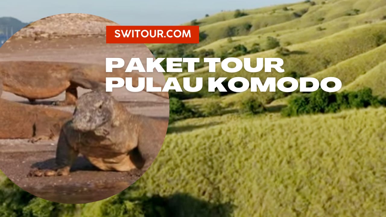 Paket Tour Pulau Komodo