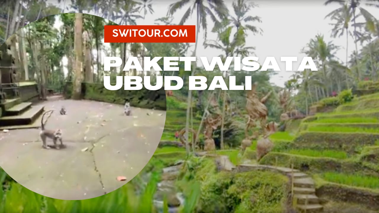 Paket Tour Ubud Bali