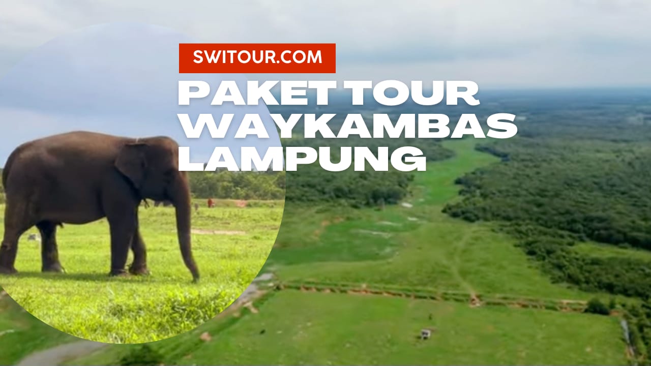Paket Tour Waykambas