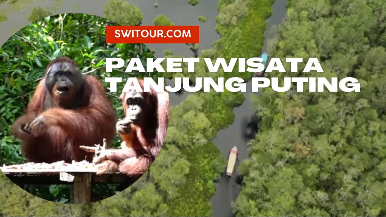 Paket Wisata Tanjung Puting