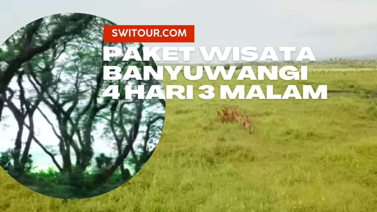 paket wisata banyuwangi