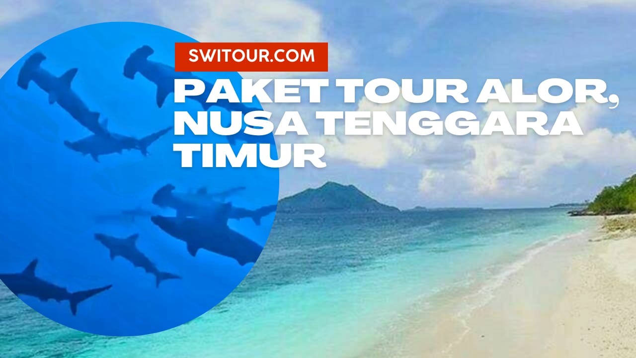Paket Tour Alor
